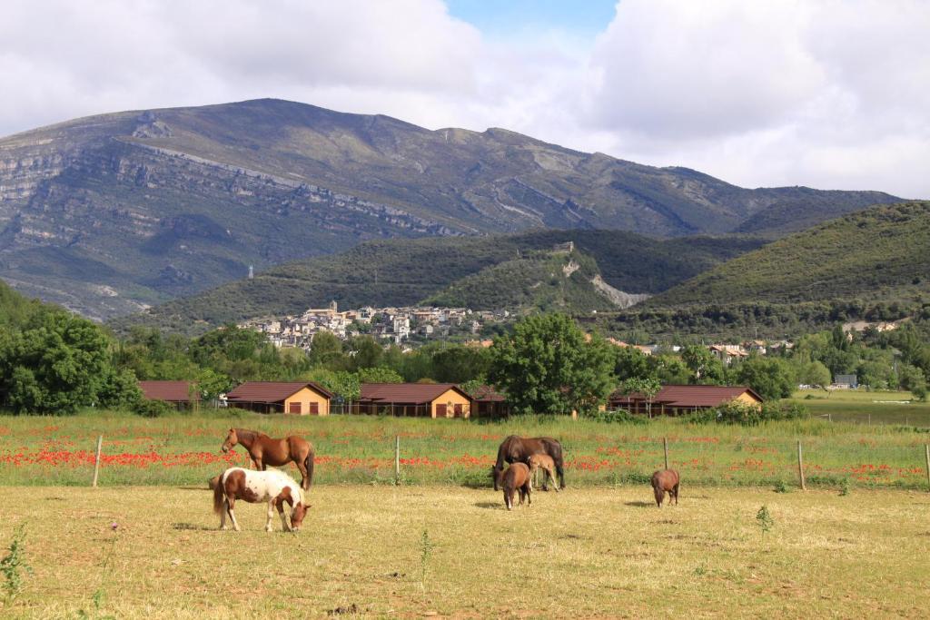 Wecamp Pirineos Hotel Boltaña Екстериор снимка